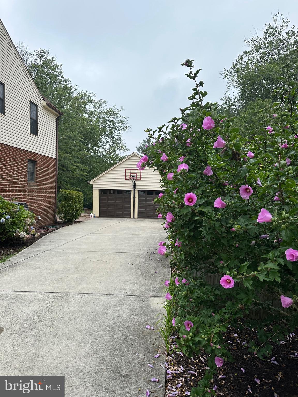 HOLLY PARK - Residential Lease