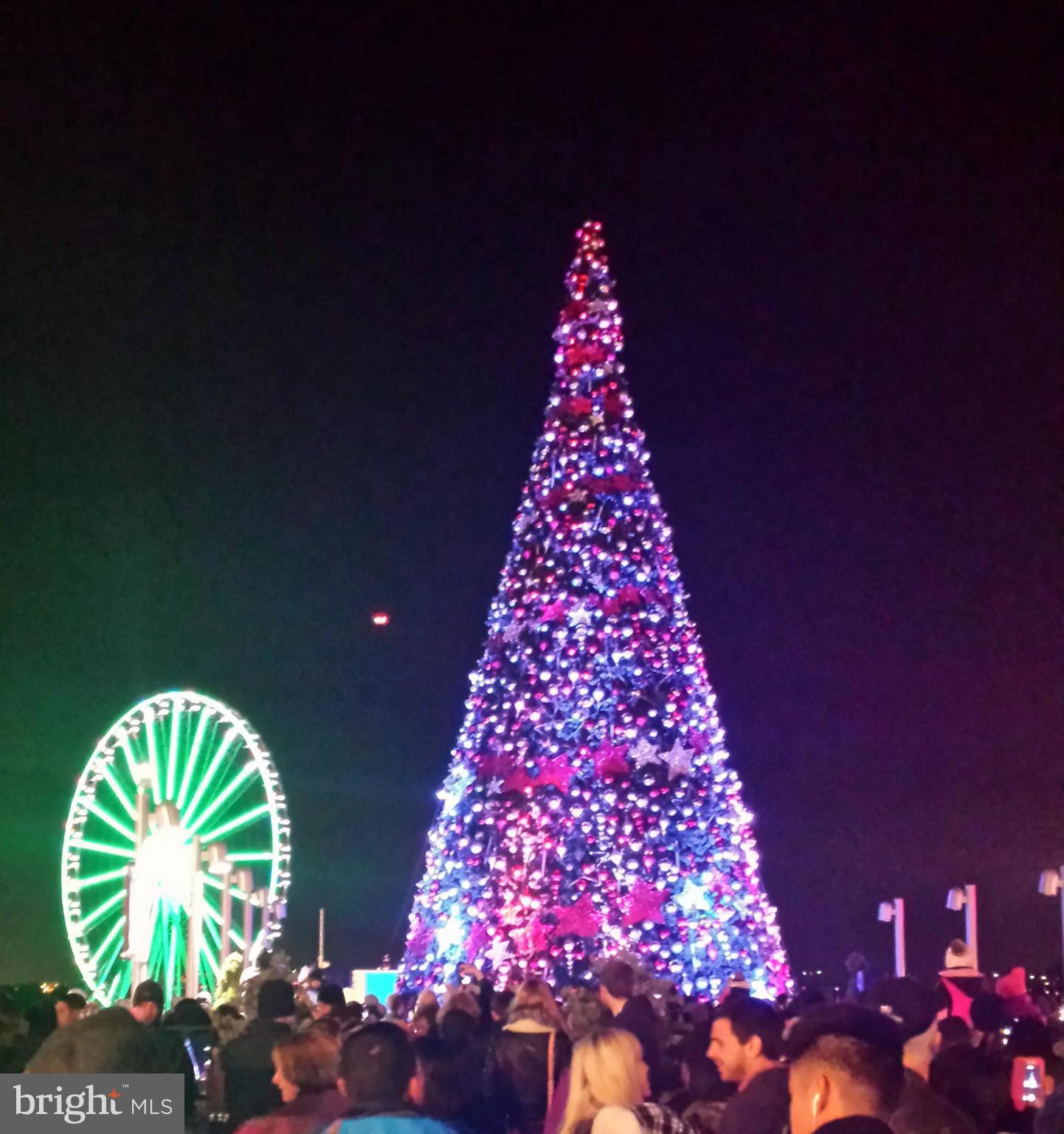 HUNTERS MILL ESTATES - Residential