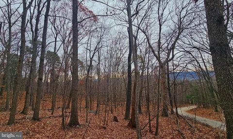 TBD FOREST DRIVE EXT LURAY VA 22835