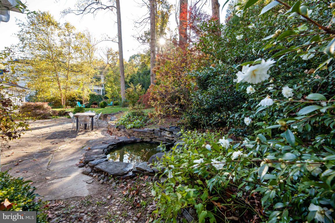 FRANKLIN FOREST - Residential