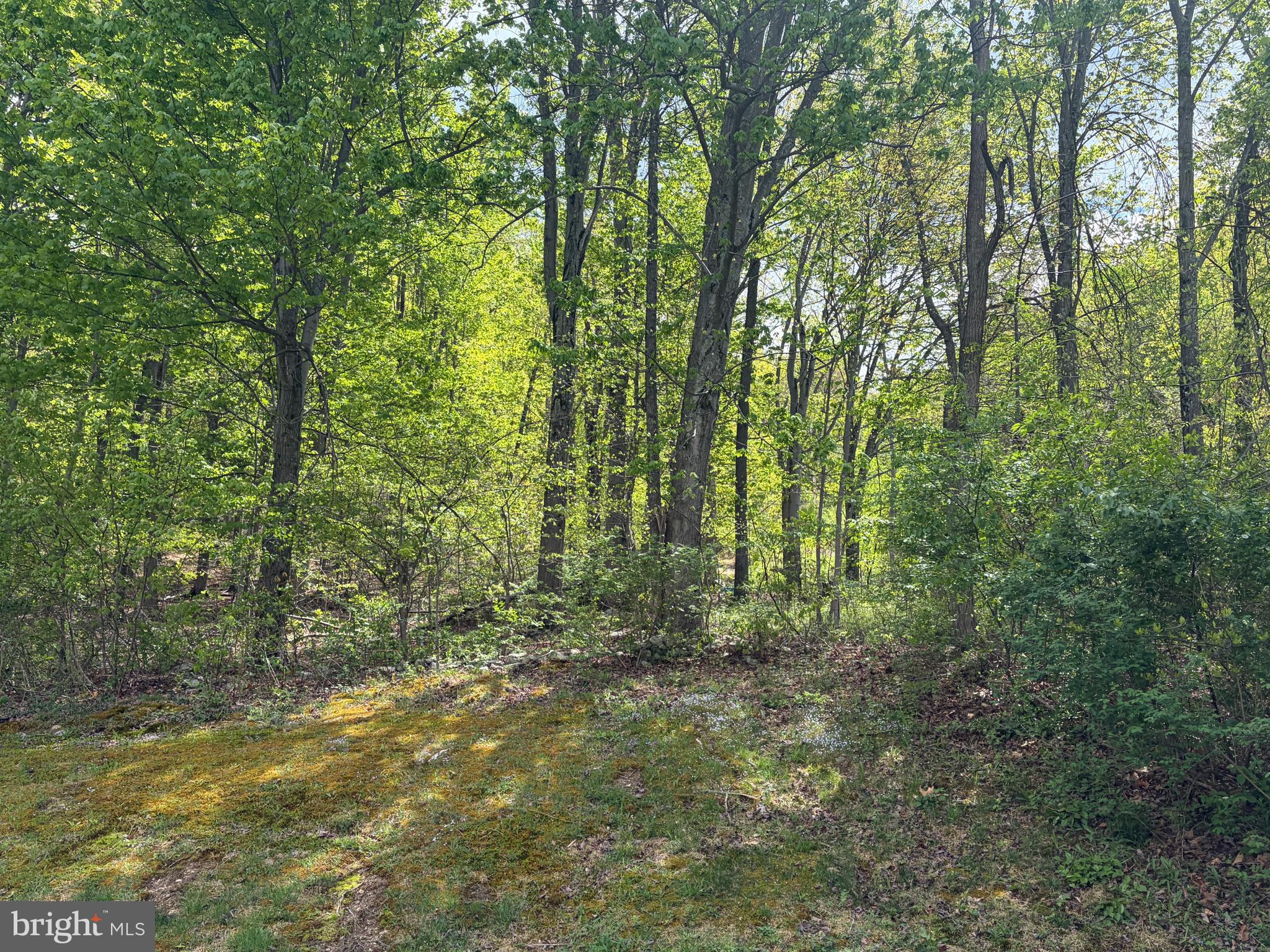 GREENWOOD - Residential