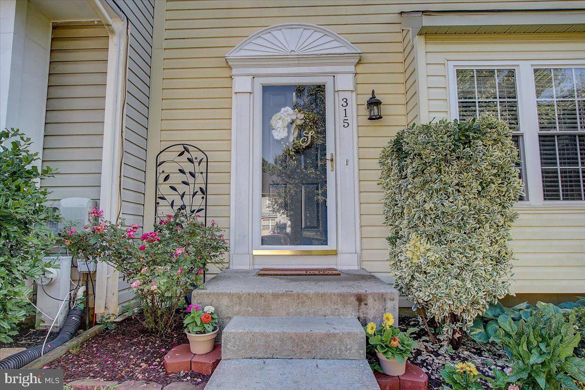 CONSTANT FRIENDSHIP - Residential