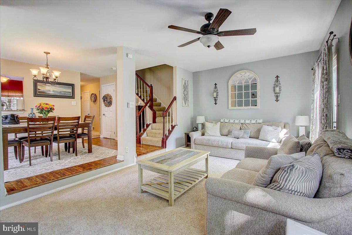 CONSTANT FRIENDSHIP - Residential