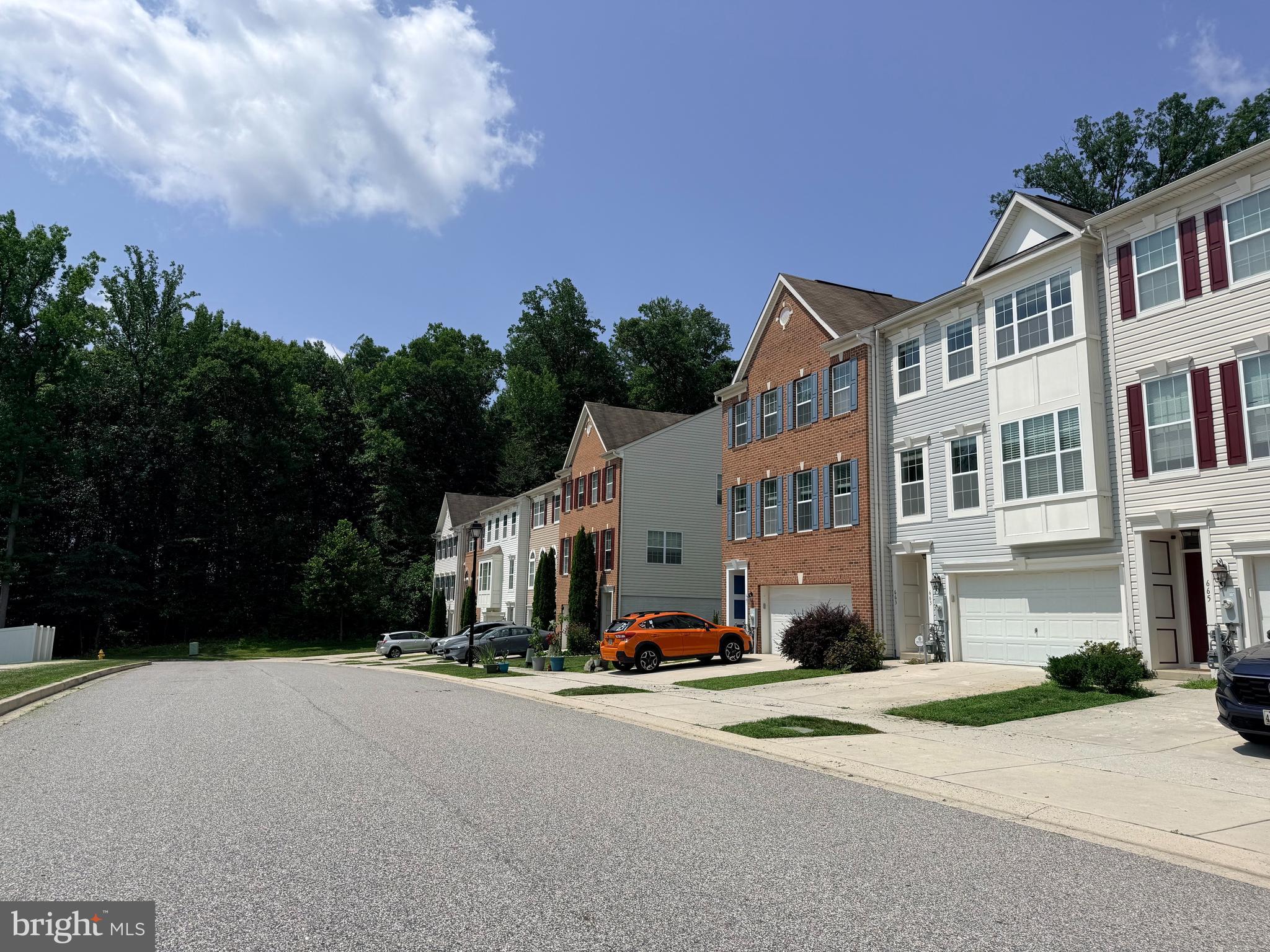 667 ENGLISH IVY WAY