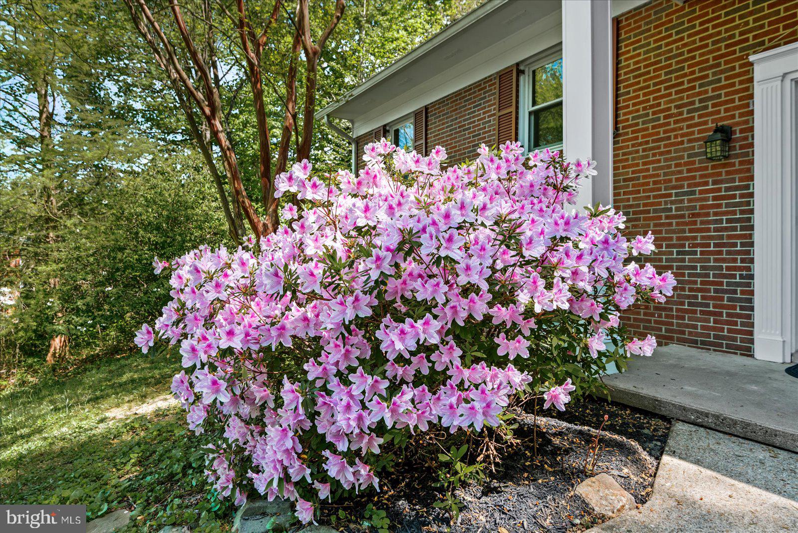 BRAEHEAD WOODS - Residential