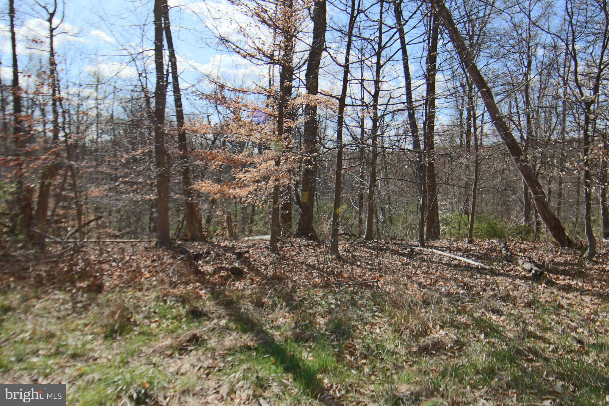 0 S FORGE ROAD