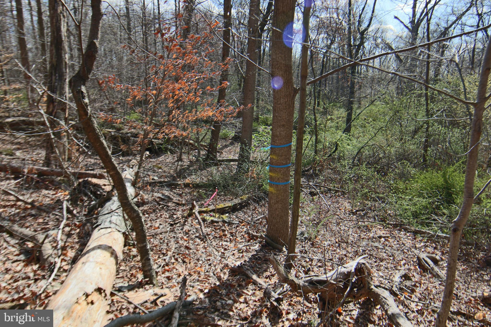 0 S FORGE ROAD
