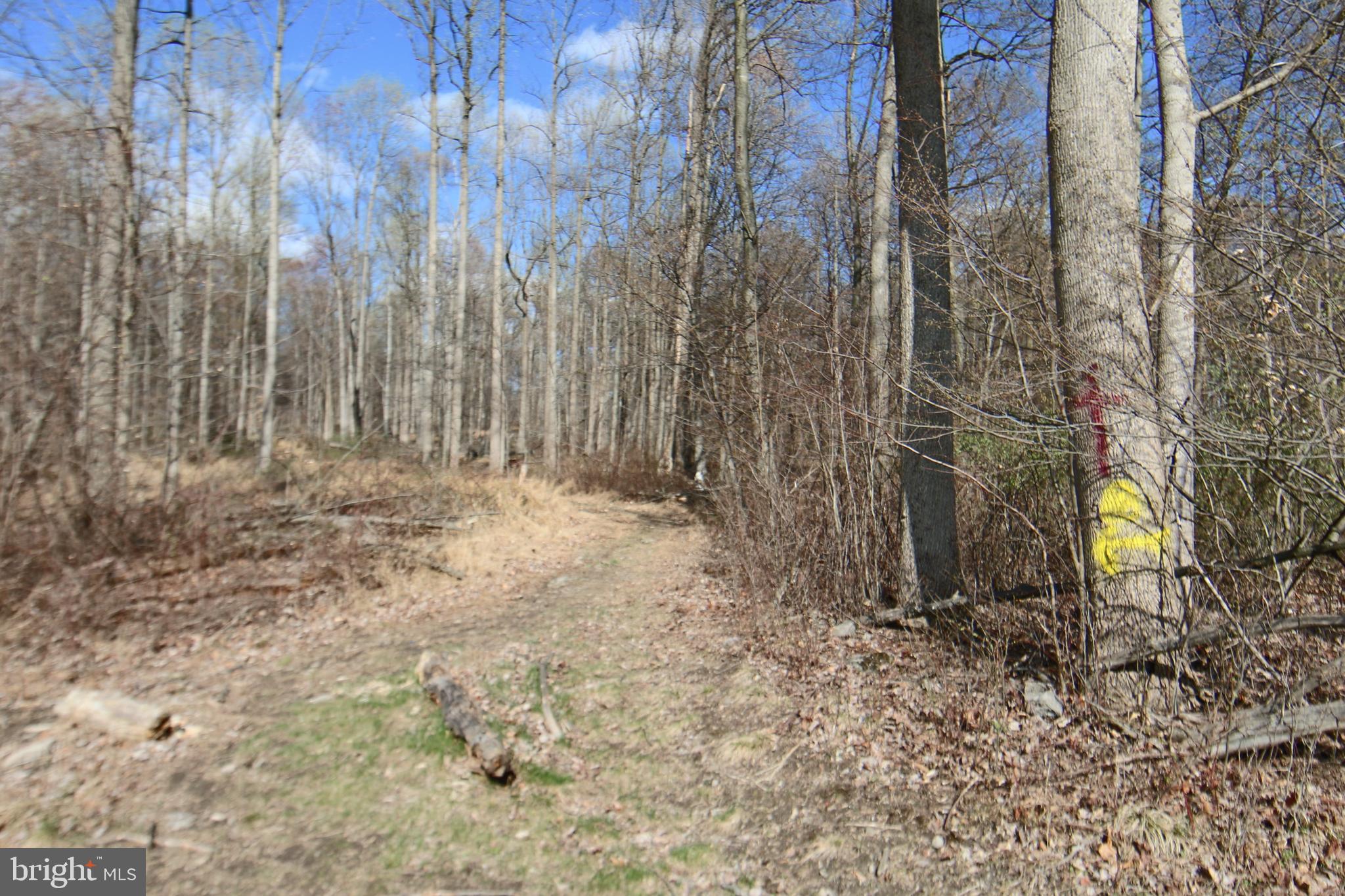 0 S FORGE ROAD