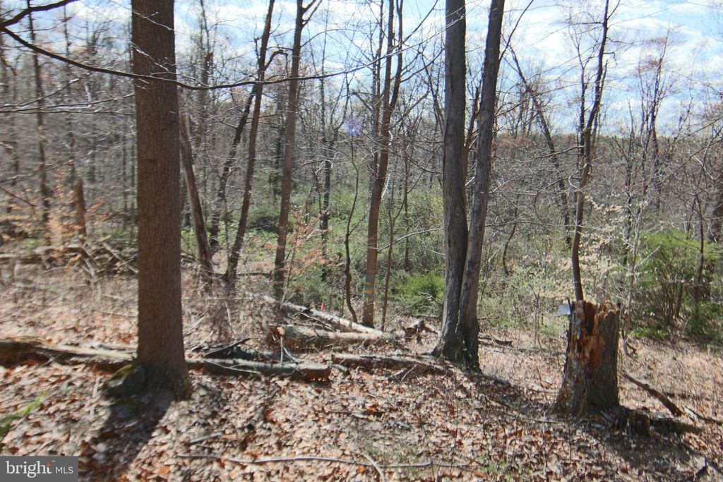Photo of 0 S Forge Road, PALMYRA, PA 17078 (MLS # PALN2019564)