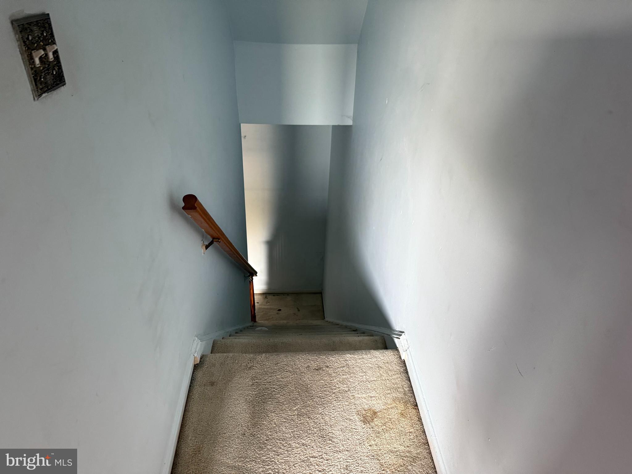 CARDINAL FOREST - Residential