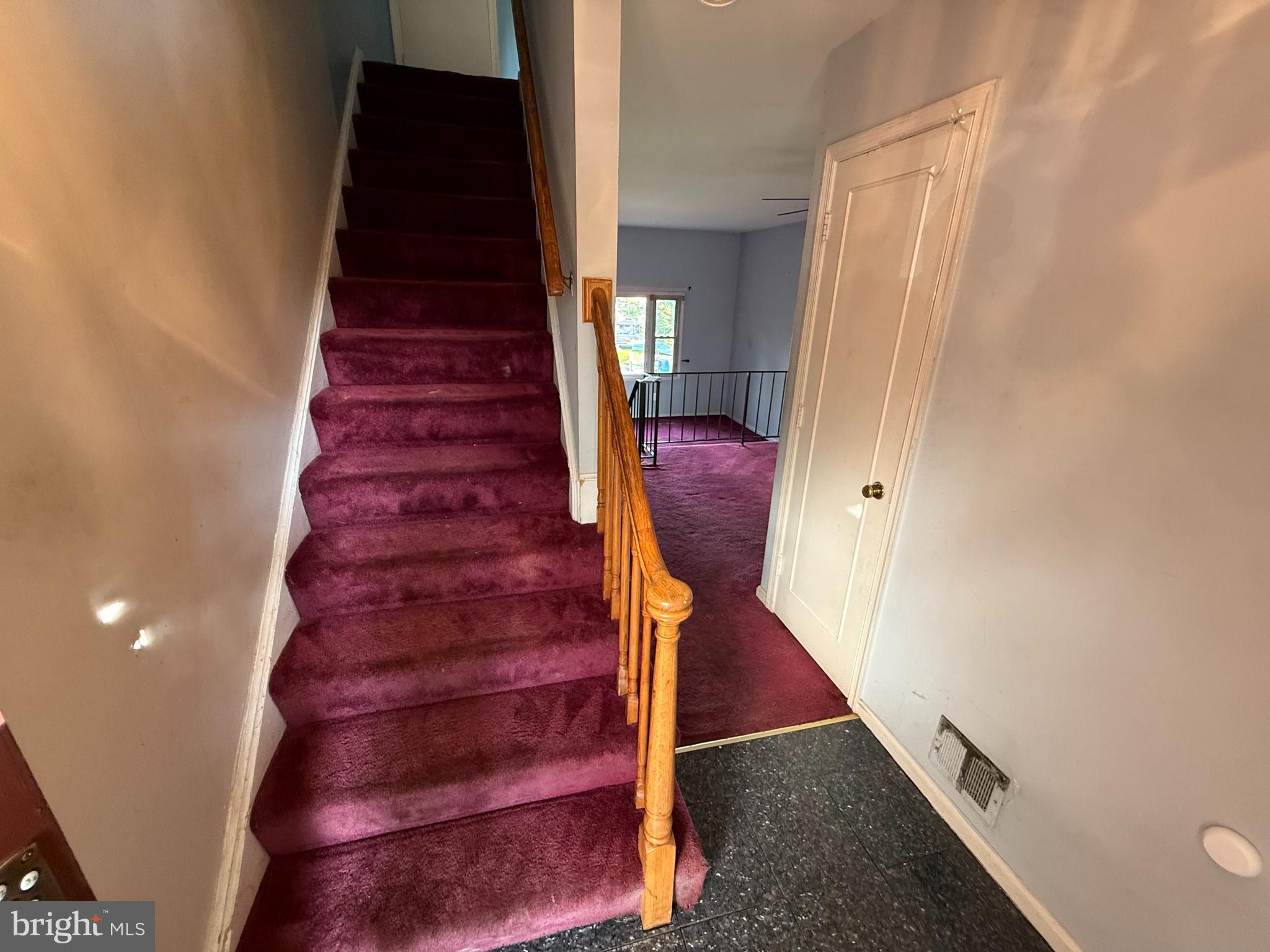 CARDINAL FOREST - Residential