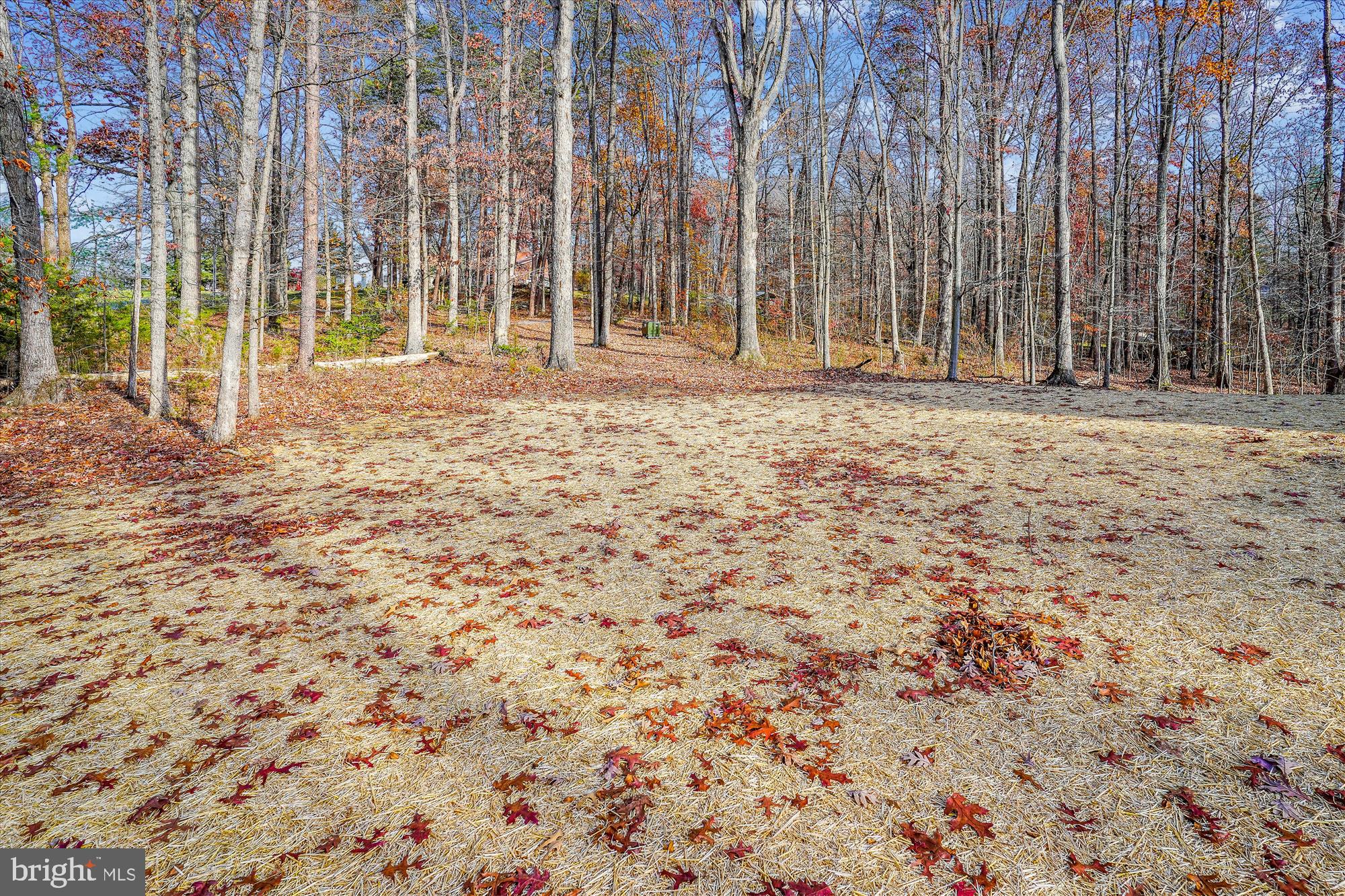 RILLHURST - Residential