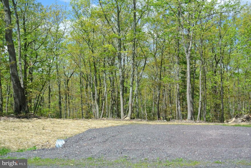 LOCATED ON A PAVED State road.....9.1 acres ready to build or hold for the future. On the north end of Culpeper just minutes to town. Wooded lot with a 4 bedroom traditional septic -soil work on record. New survey. VDOT approved driveway entrance. Good for walk out basement. Comcast on road.