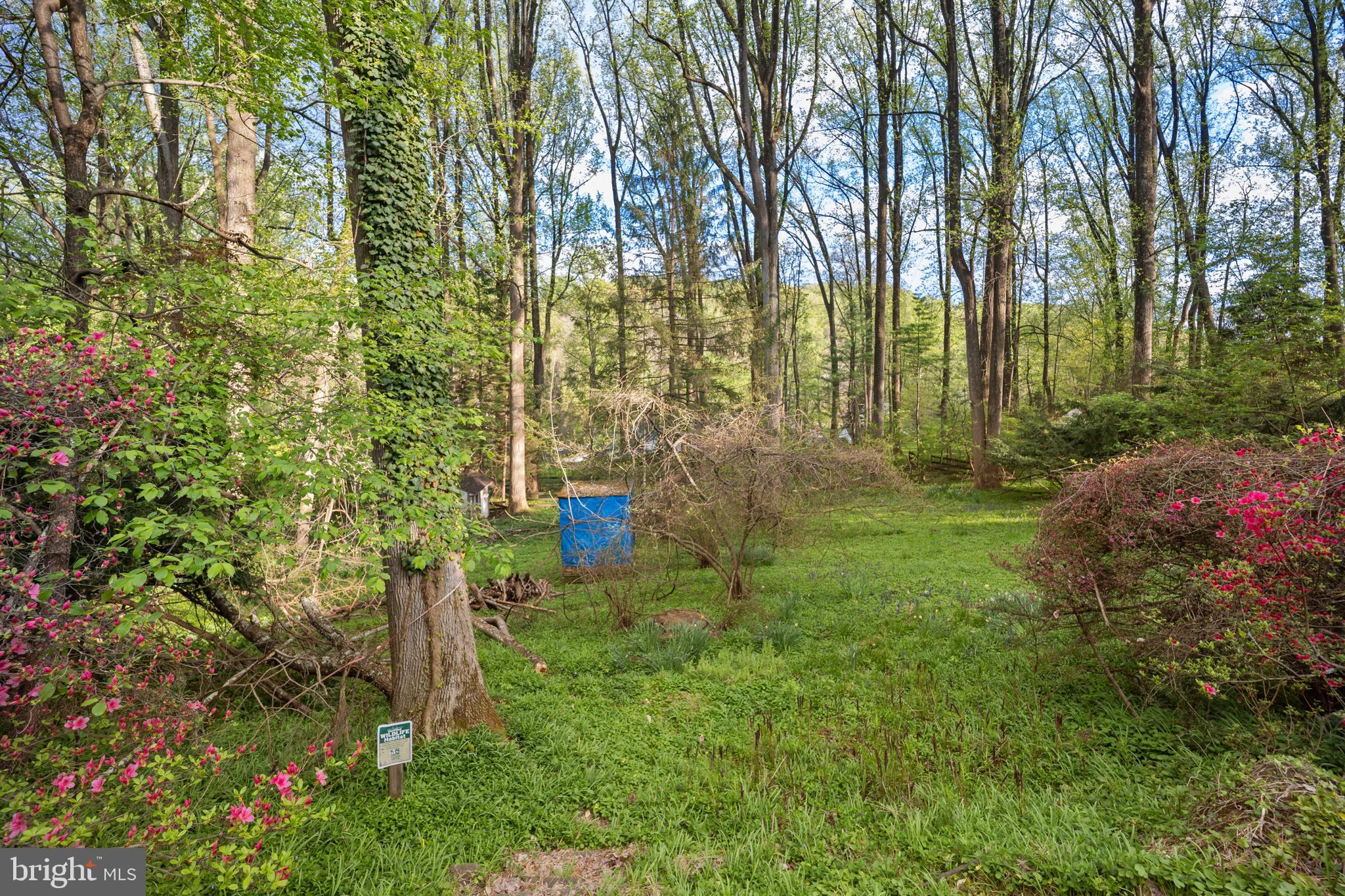 NESHAMINY WOODS - Residential