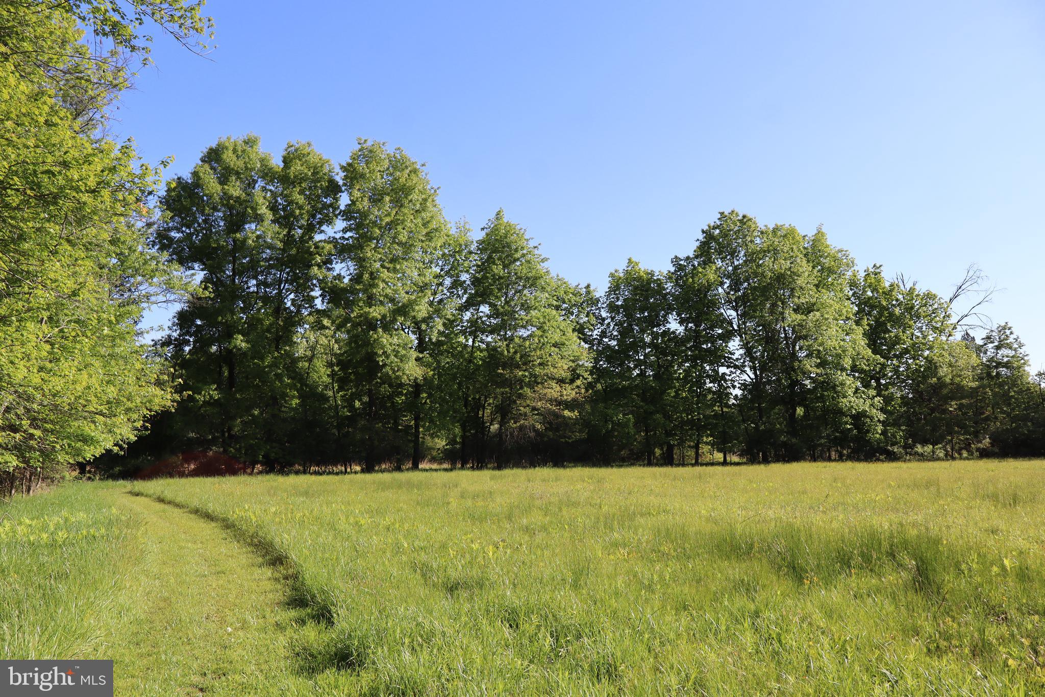 1583 CHESTNUT RIDGE ROAD