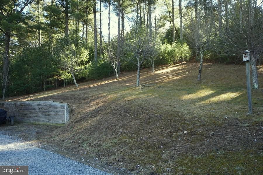 SHERWOOD FOREST/THORNY MEADOWS - Residential