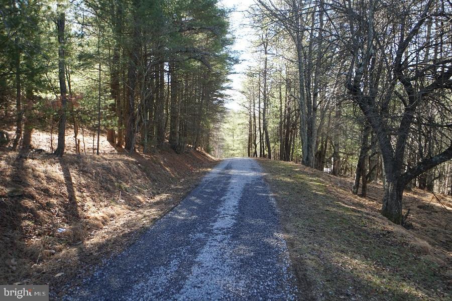 SHERWOOD FOREST/THORNY MEADOWS - Residential