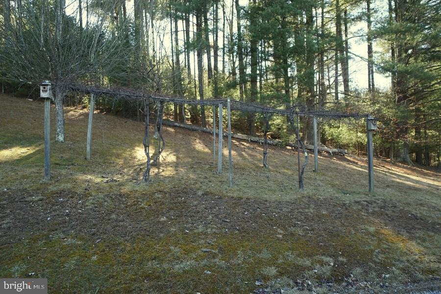 SHERWOOD FOREST/THORNY MEADOWS - Residential