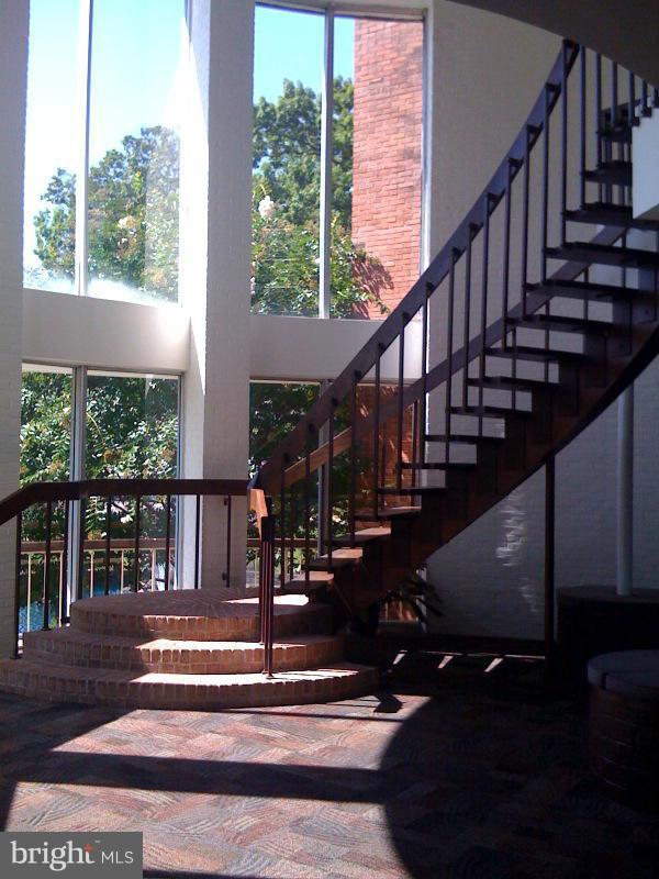 CARDINAL FOREST - Commercial Sale