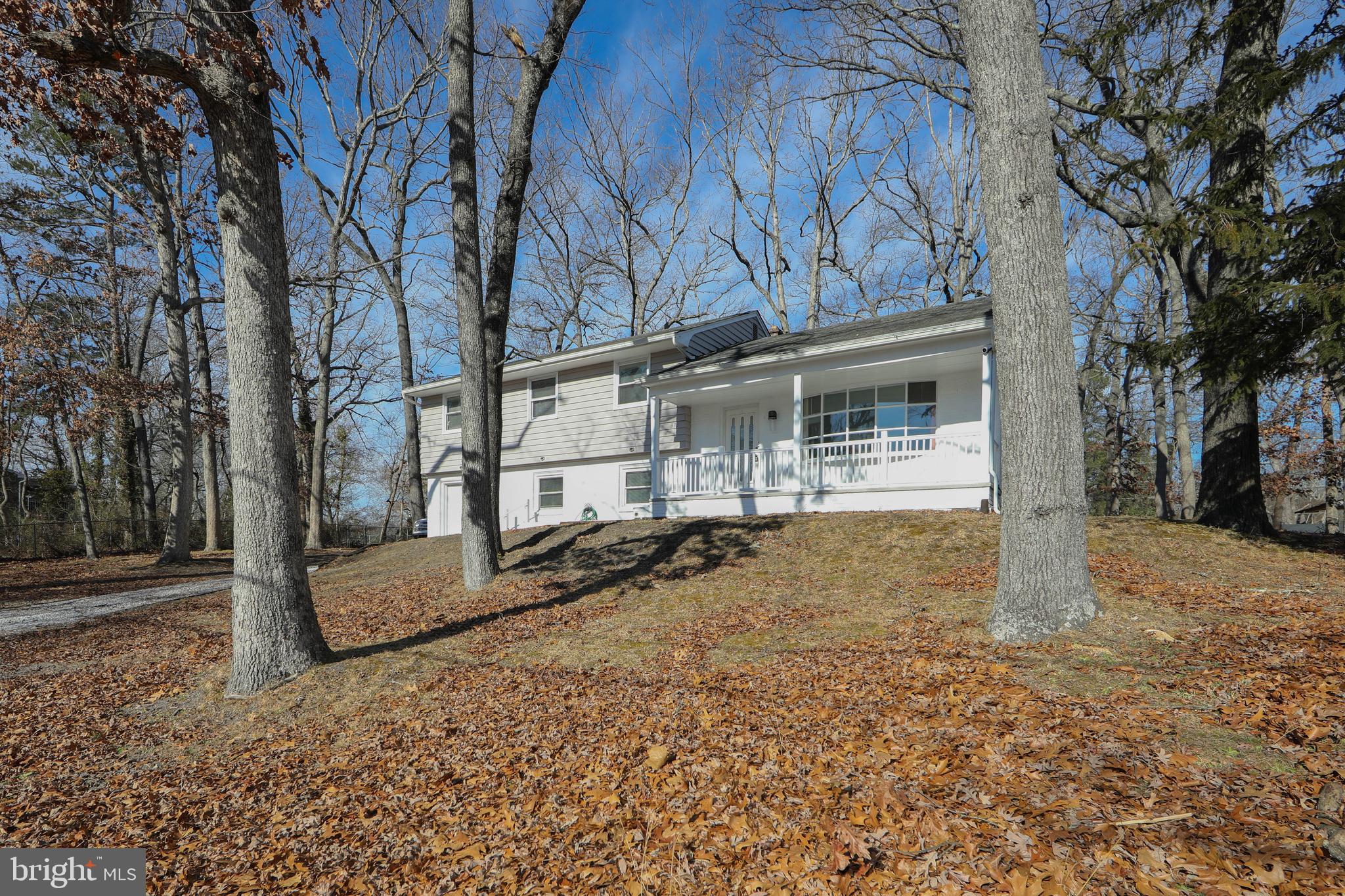 332 WOODBINE STREET