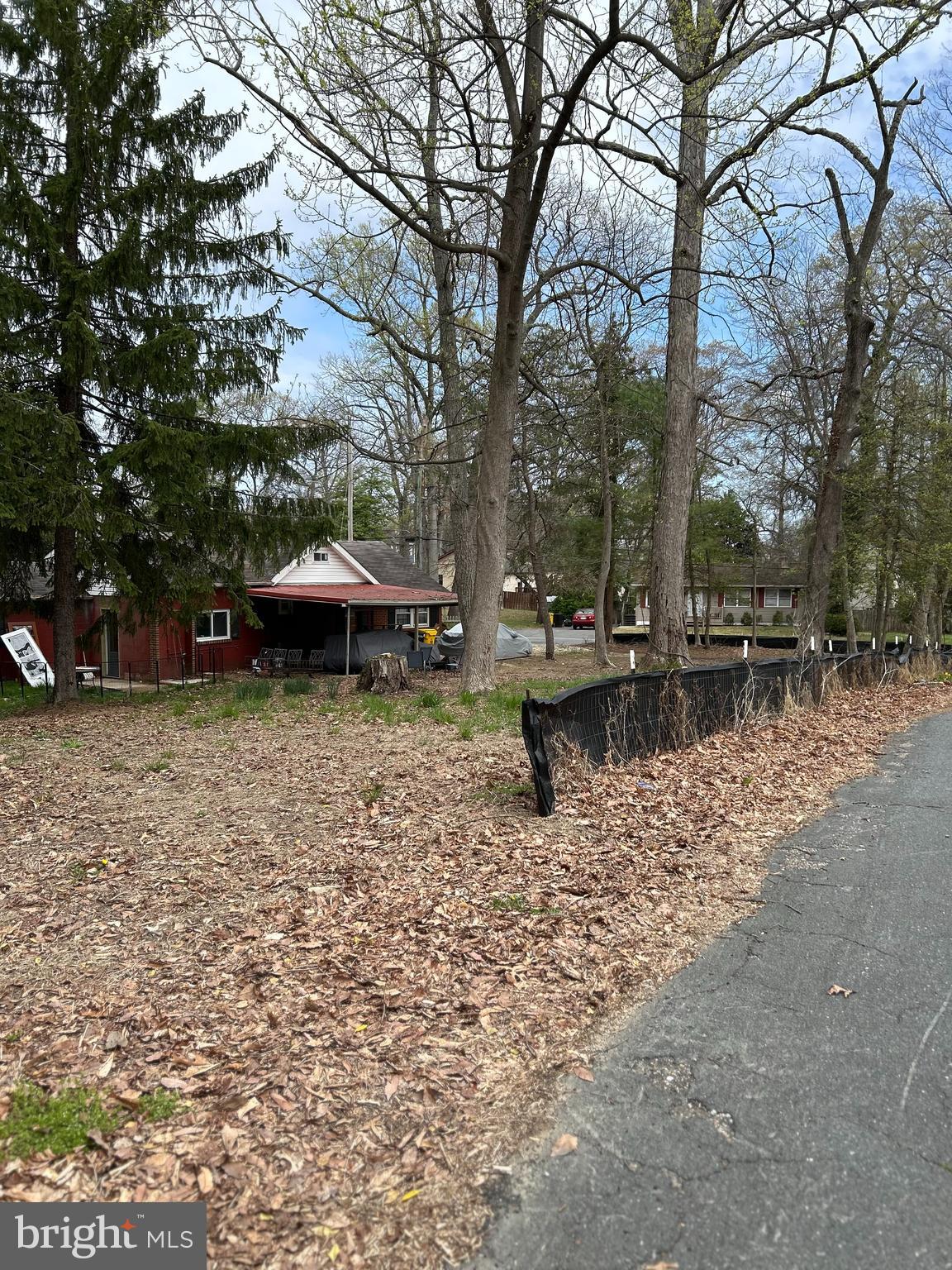 BEECH TRAIL