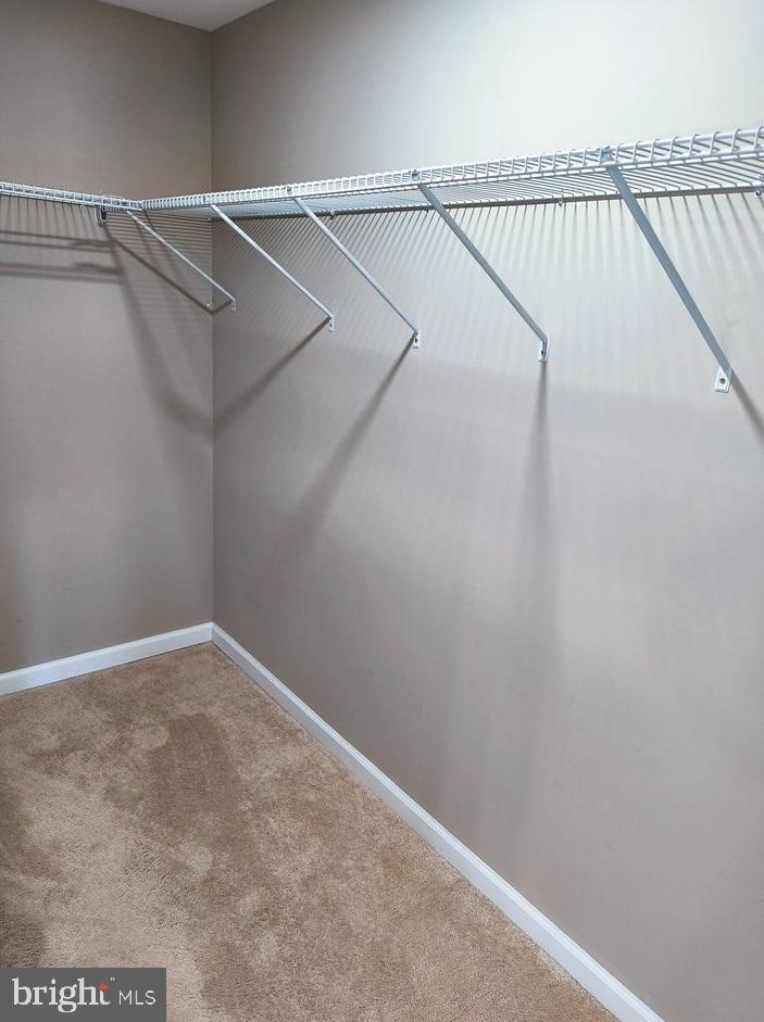 FOREST RIDGE - Residential Lease