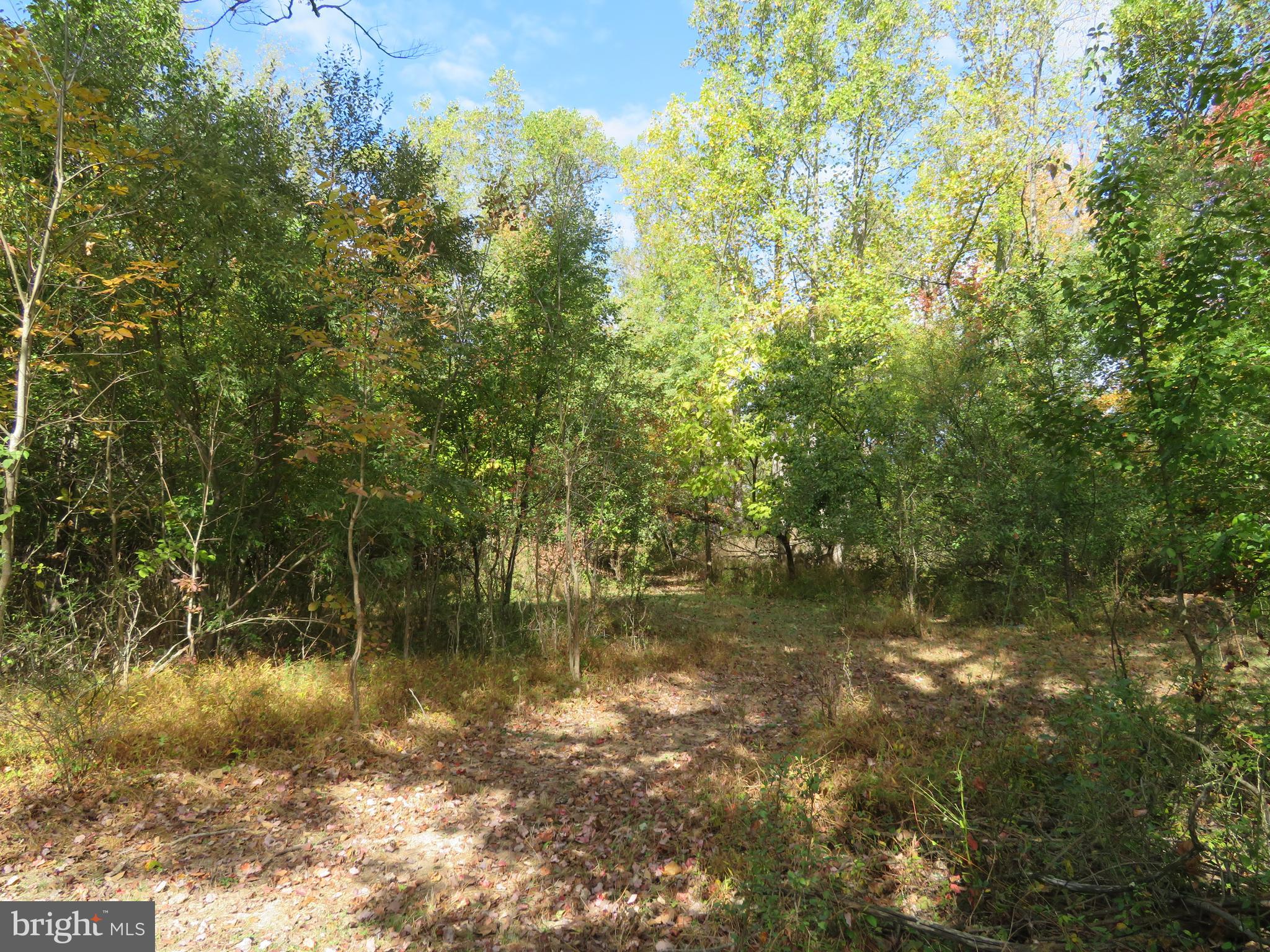 MAPLE GLEN - Residential