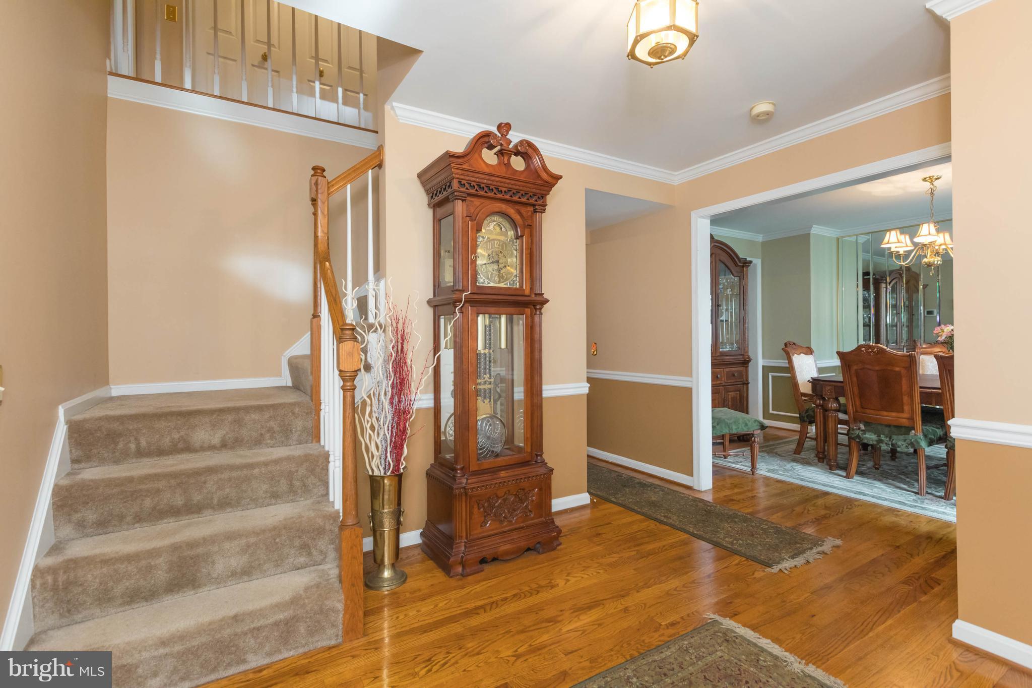 WHITE HALL FOREST PLAT 5 - Residential