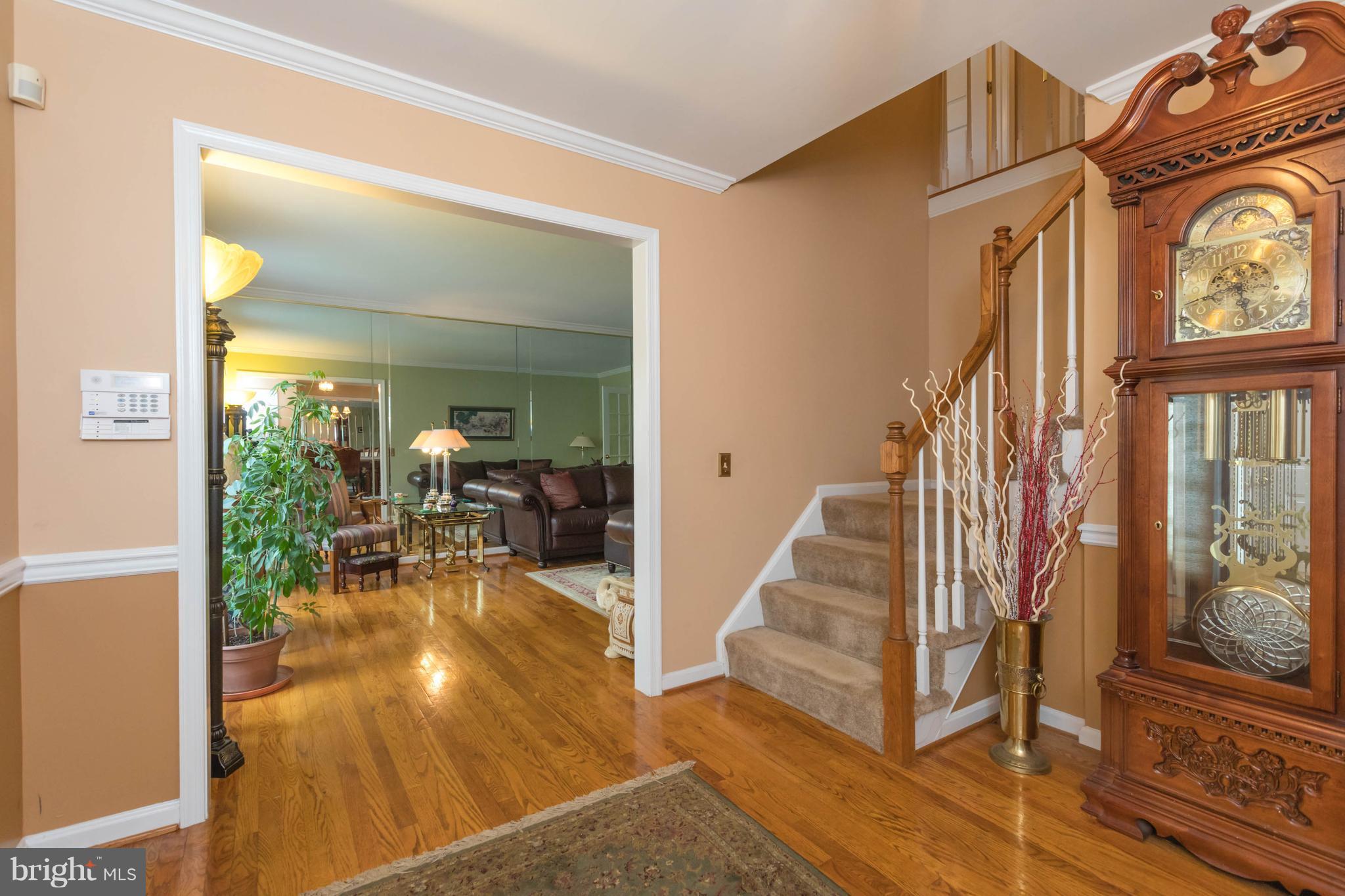 WHITE HALL FOREST PLAT 5 - Residential