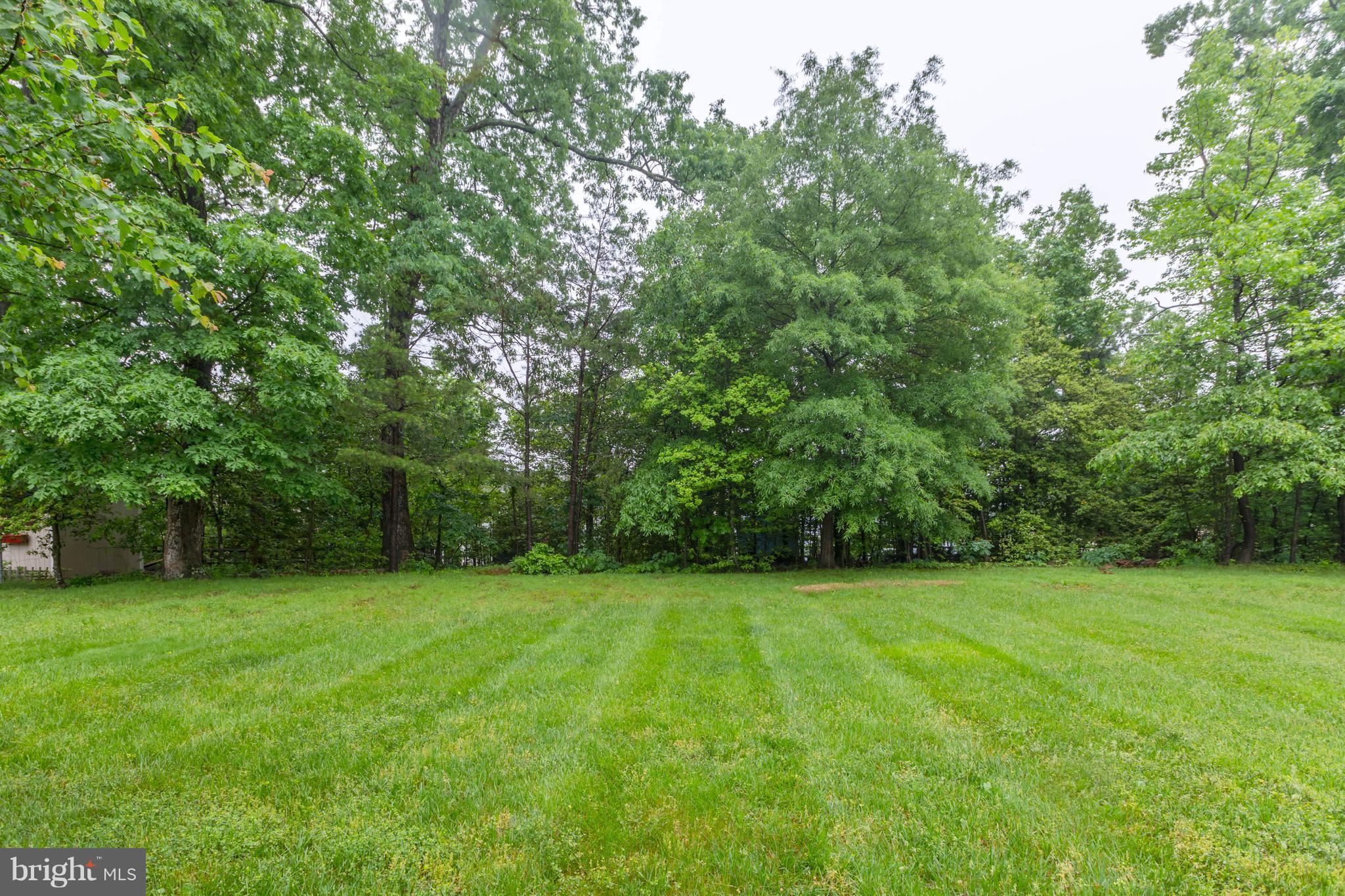 WHITE HALL FOREST PLAT 5 - Residential