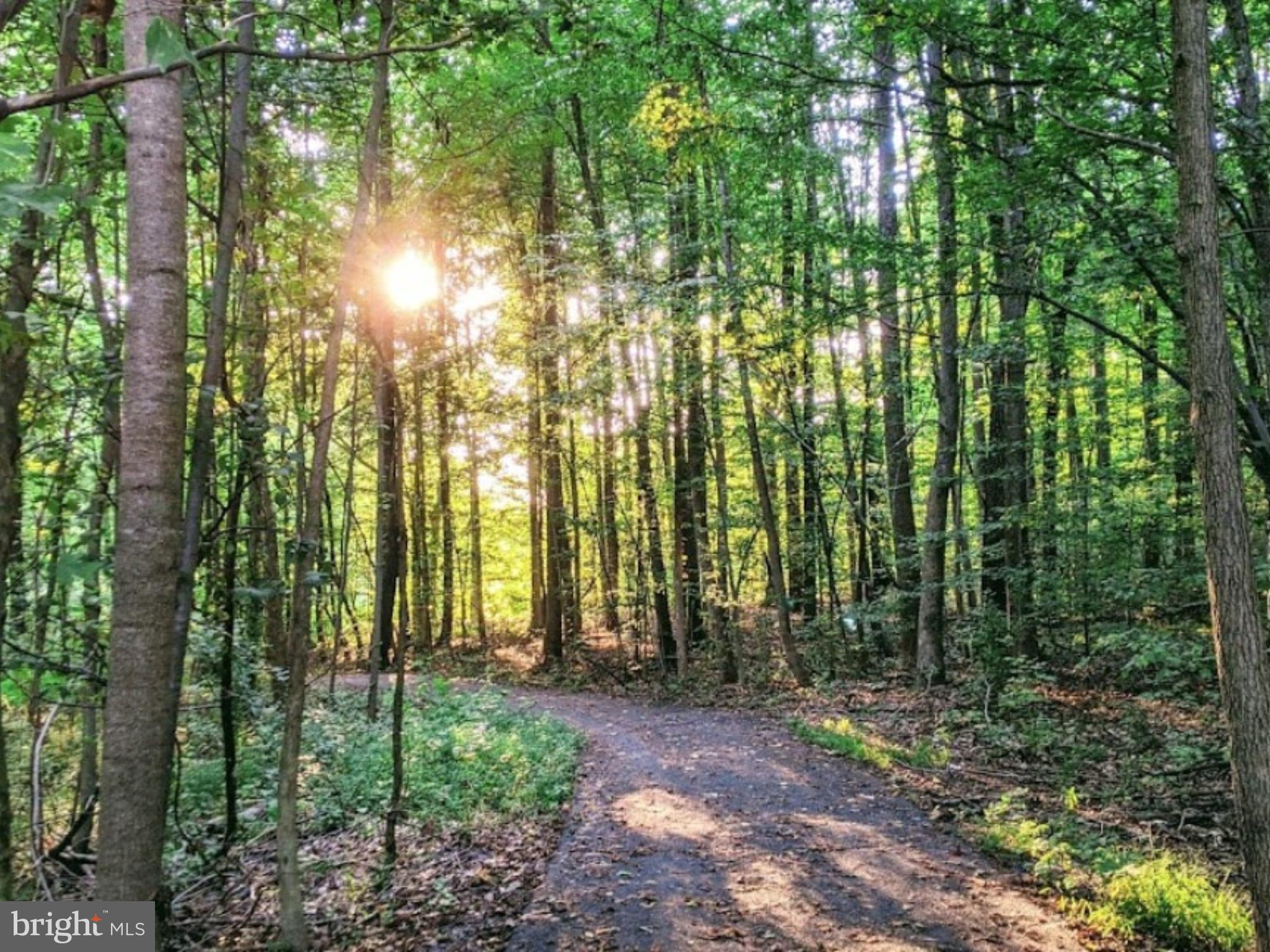 WEST GROVE ESTATES - Residential