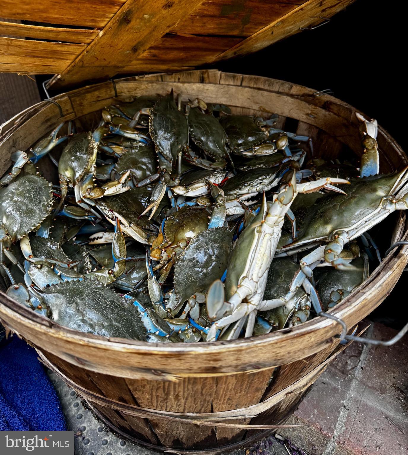 (NONE) - Residential