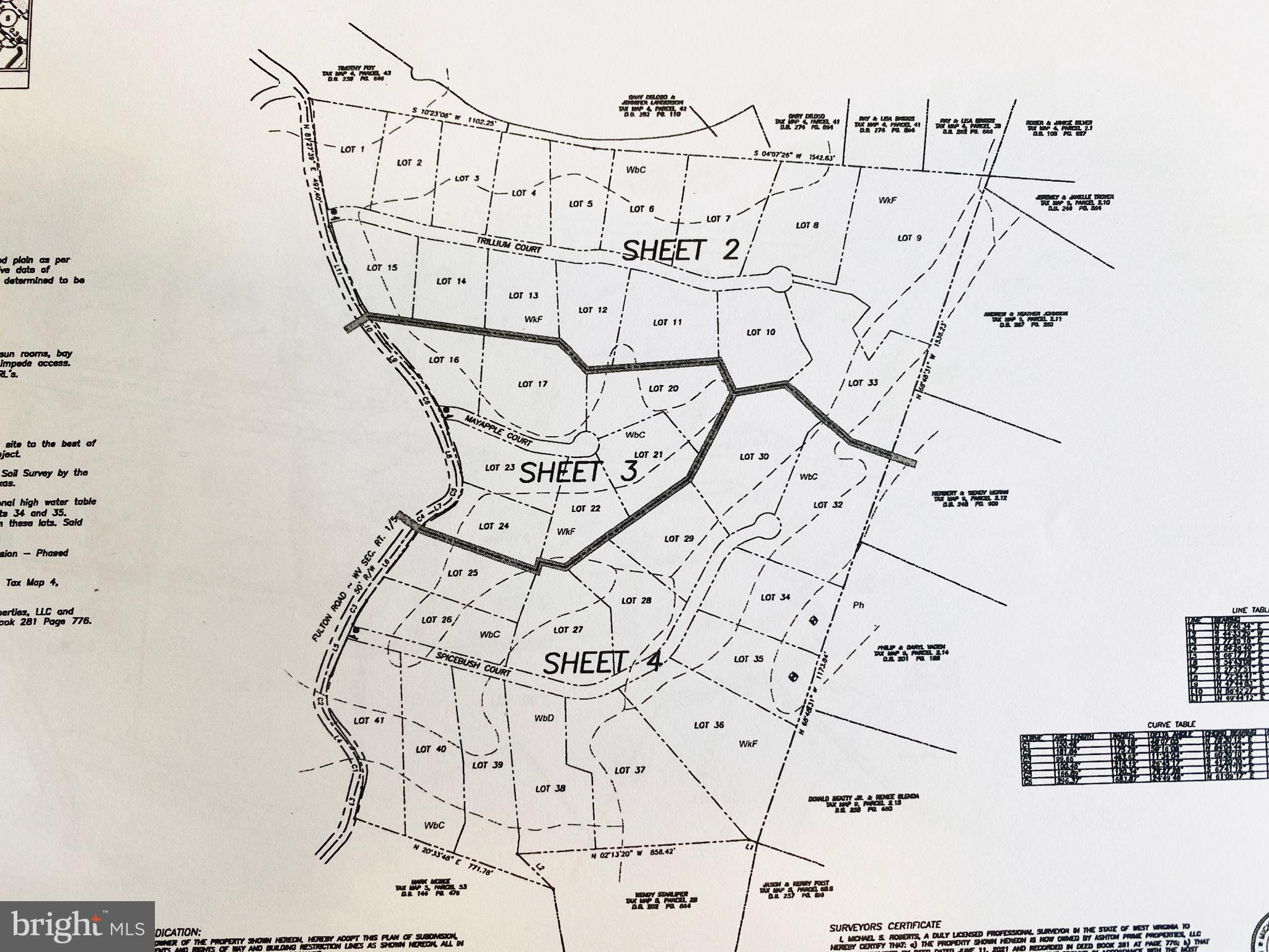 **UPDATE...THIS IS ONLY PHASE 2***
RARE FIND IN TODAYS MARKET! Subdivision with 3 phases comprising 38 lots ranging in size from 2-4+ acres. Final plat approved (contingent on posting the bond), but not recorded. 116+ wooded acres convenient to Route 9. Approvals conveying include: Health Department, DOH, DEP. See listing disclosures for specific docs (including the bond estimate). A digital copy of the full set of plans is available upon request.