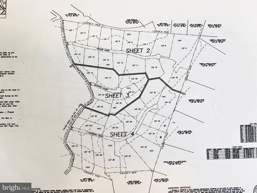 **UPDATE...THIS IS ONLY PHASE 2*** 

RARE FIND IN TODAYS MARKET! Subdivision with 3 phases comprising 38 lots ranging in size from 2-4+ acres. Final plat approved (contingent on posting the bond), but not recorded. 116+ wooded acres convenient to Route 9. Approvals conveying include: Health Department, DOH, DEP.  See listing disclosures for specific docs (including the bond estimate). A digital copy of the full set of plans is available upon request.