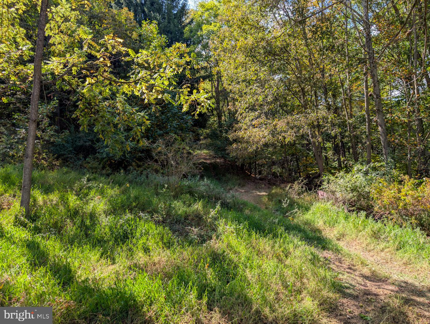 LONDONDERRY TOWNSHIP - Residential