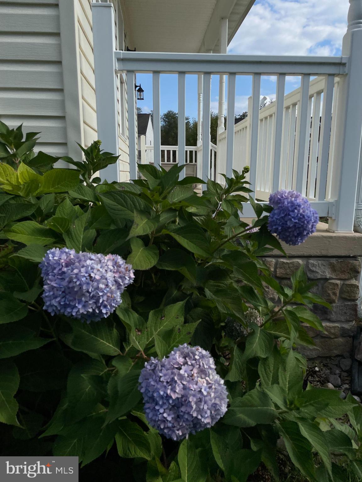 THE GALLERY - Residential