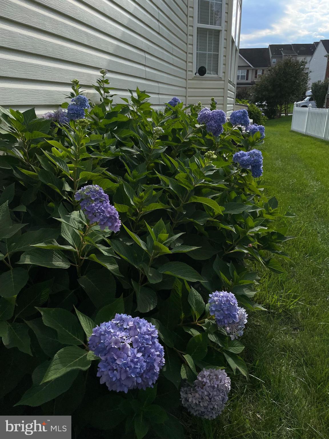 THE GALLERY - Residential