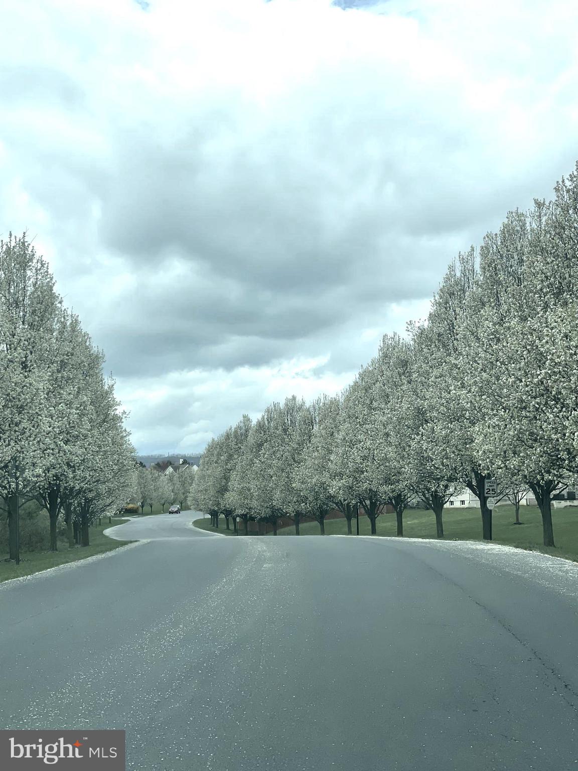 THE GALLERY - Residential