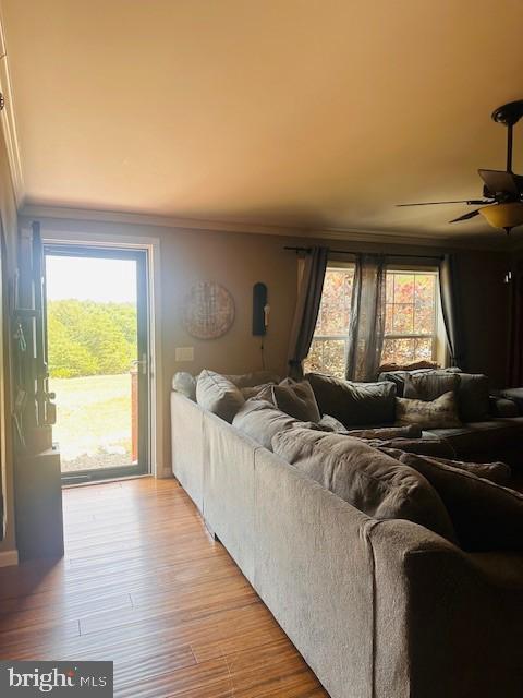 SILVER LEAF - Residential