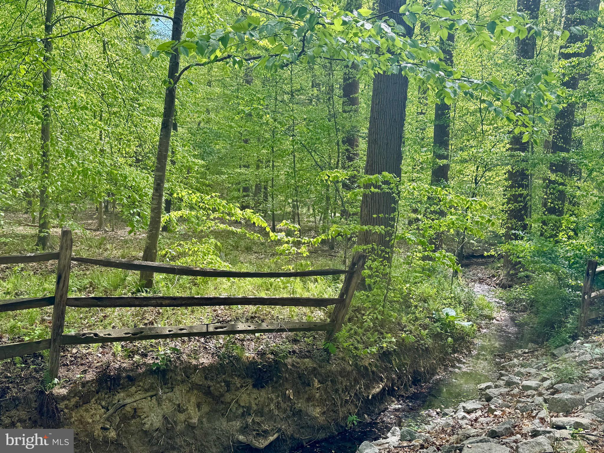 THE SINGING WOODS - Residential