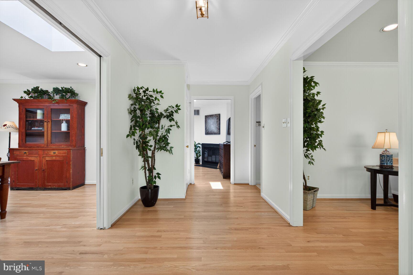 THE SINGING WOODS - Residential