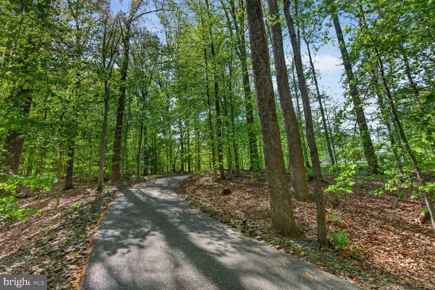 THE SINGING WOODS - Residential