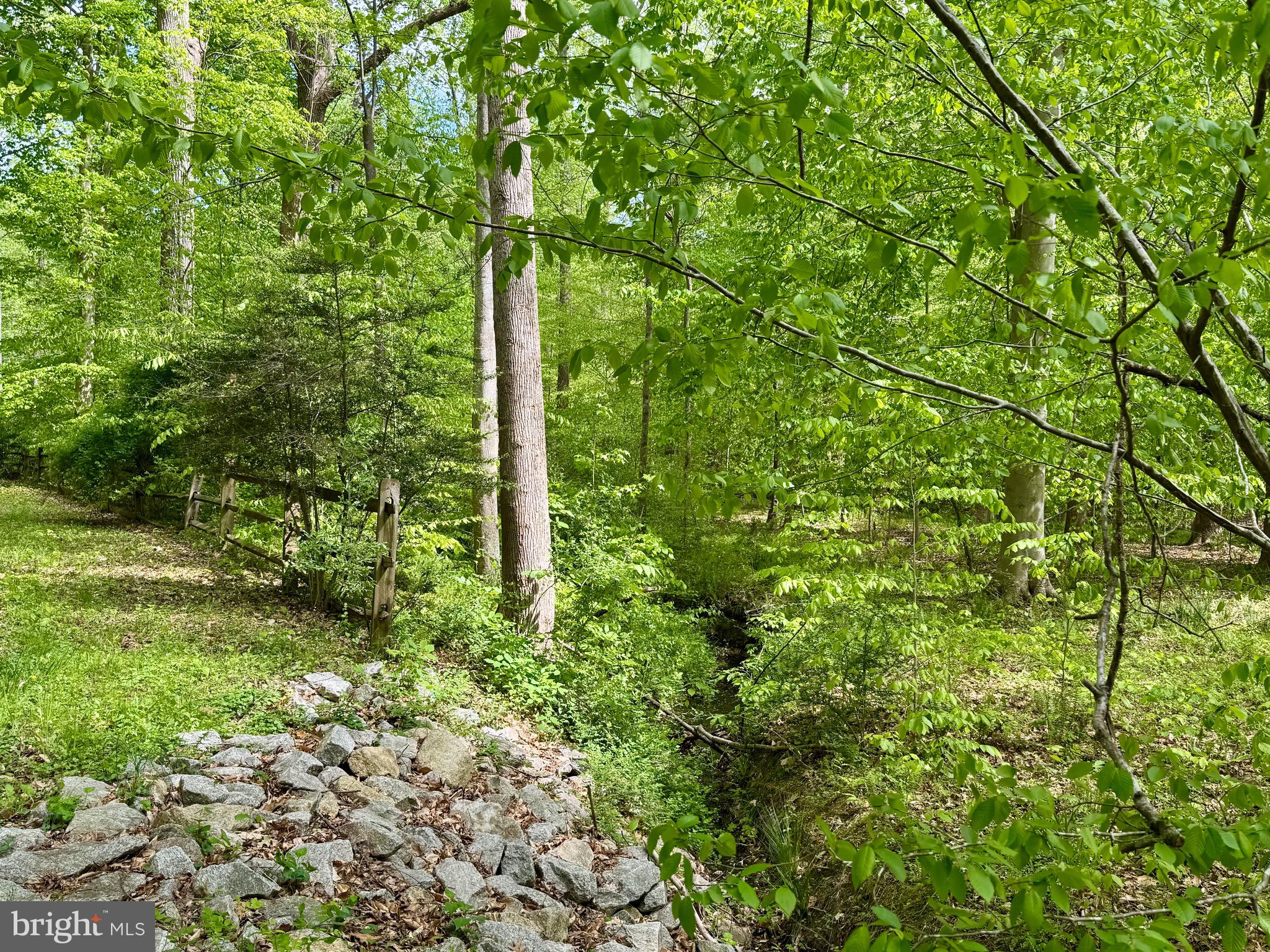 THE SINGING WOODS - Residential