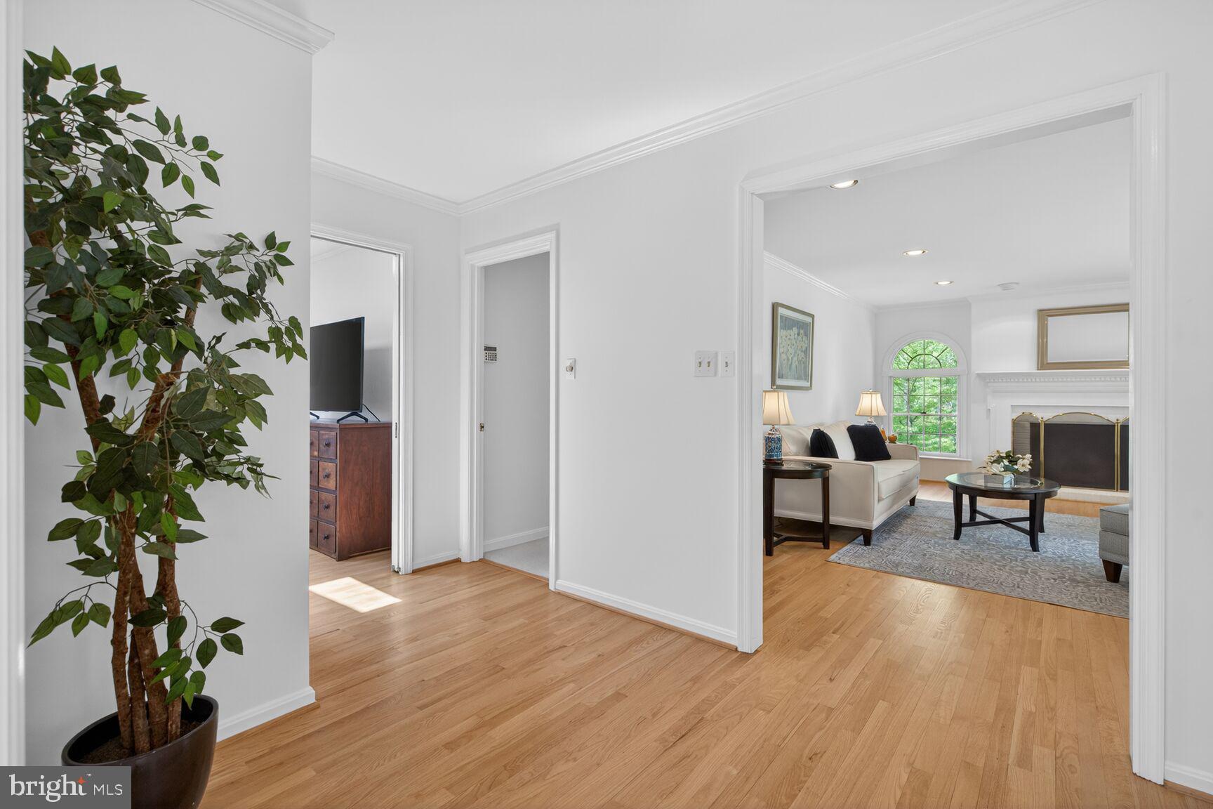 THE SINGING WOODS - Residential