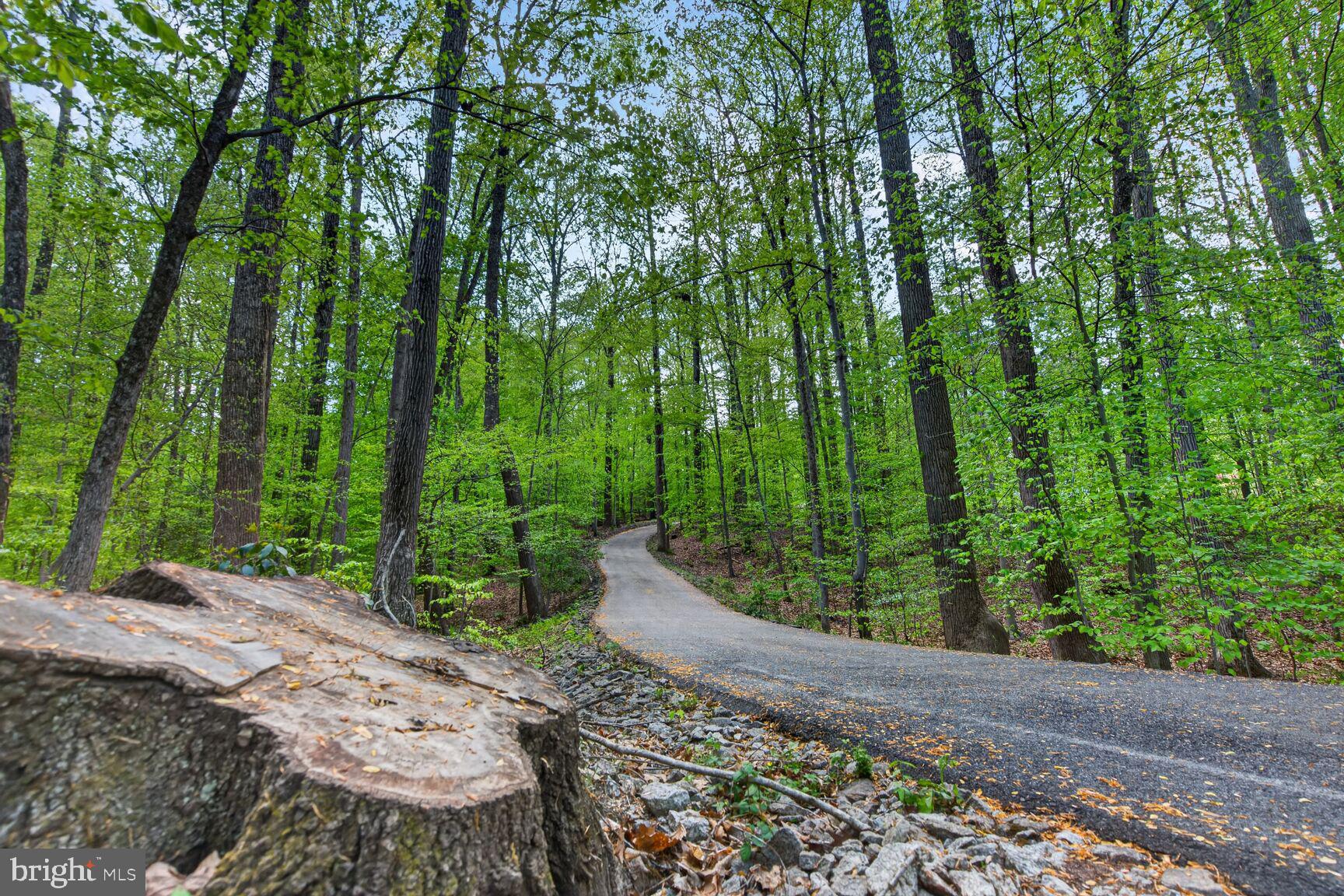 THE SINGING WOODS - Residential