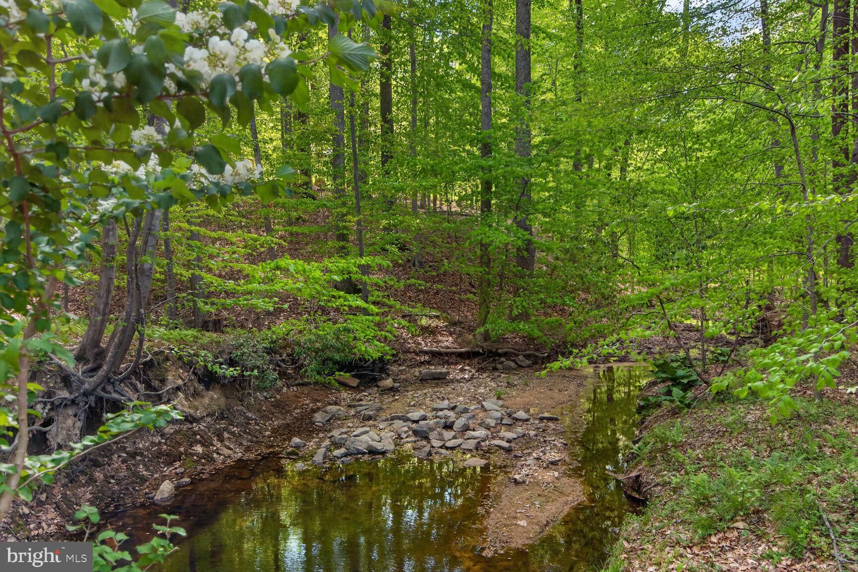 THE SINGING WOODS - Residential