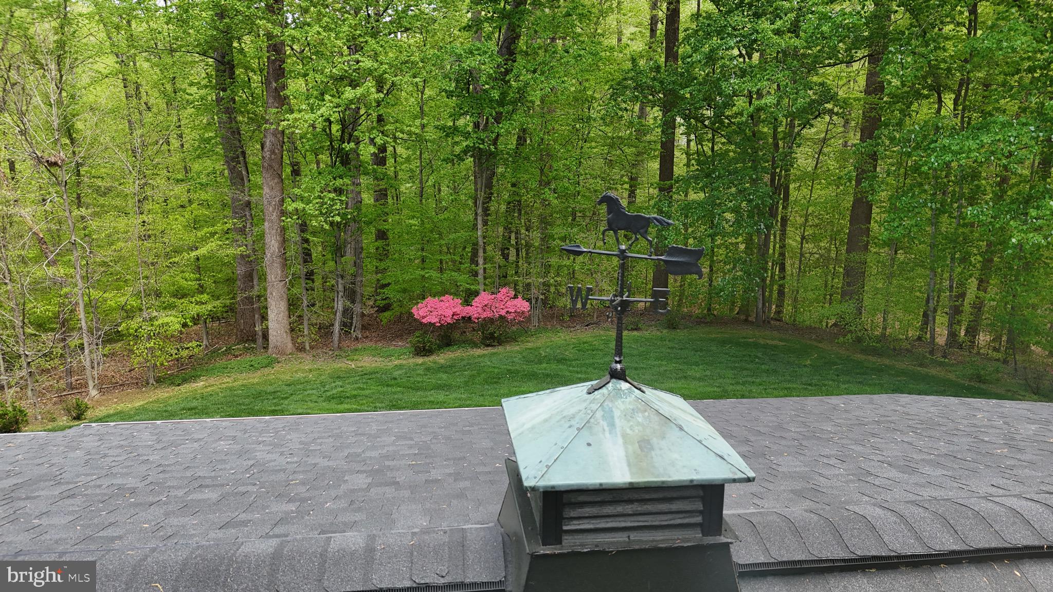 THE SINGING WOODS - Residential