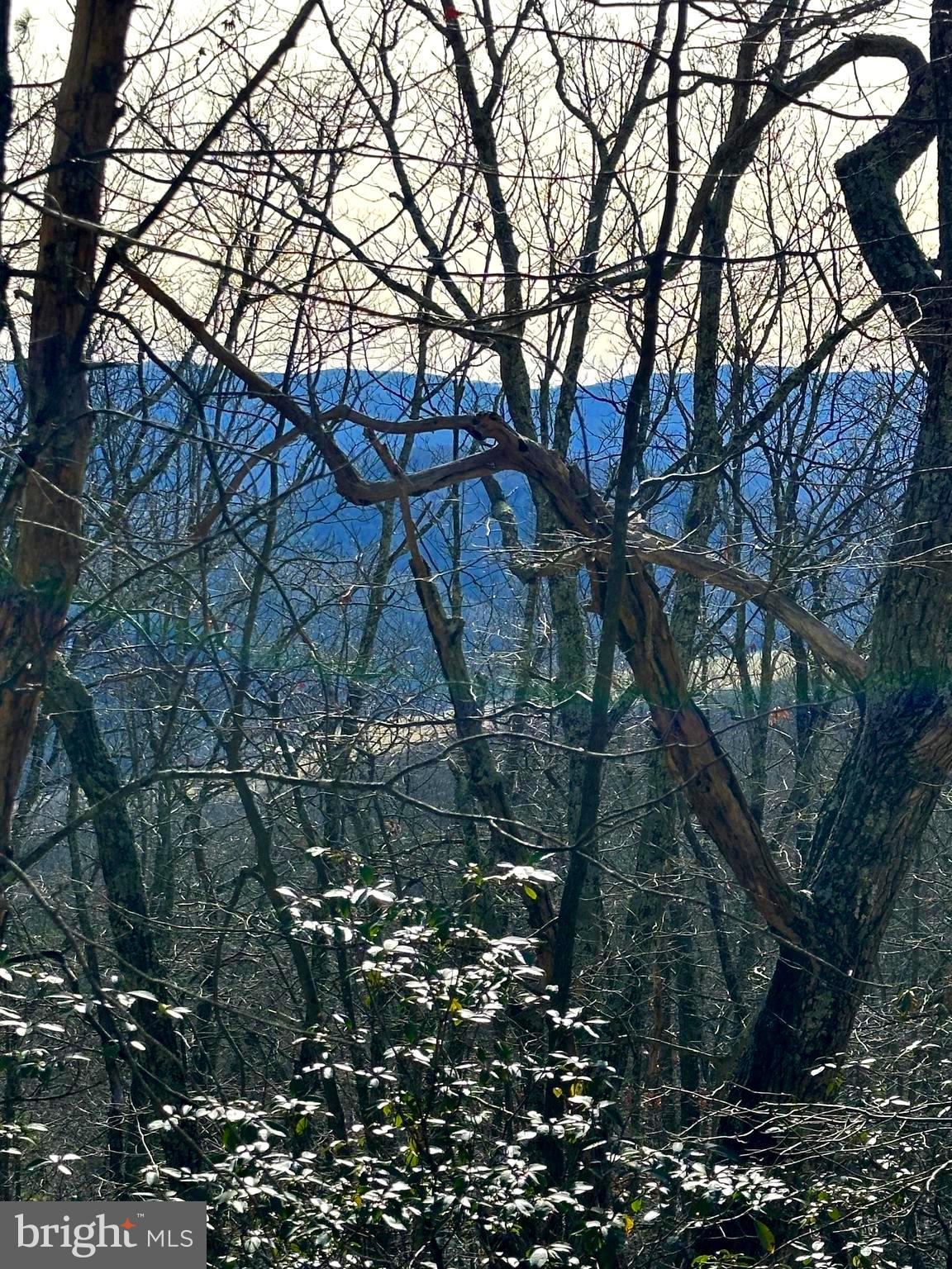 WOW WOW! 5 ACRE mountain top lot with a South/East VIEWS for less than the county tax assessed value. Located in beautiful Pendleton County, WV where you can build your cabin retreat and enjoy the solitude and hear nothing but the birds chirping and leaves rustling. A spring is located on the bottom corner of the property for your water feature. Own a piece of WV and not break your bank! Adjacent lot is also available for sale. Purchase both and have 10 acres to roam.