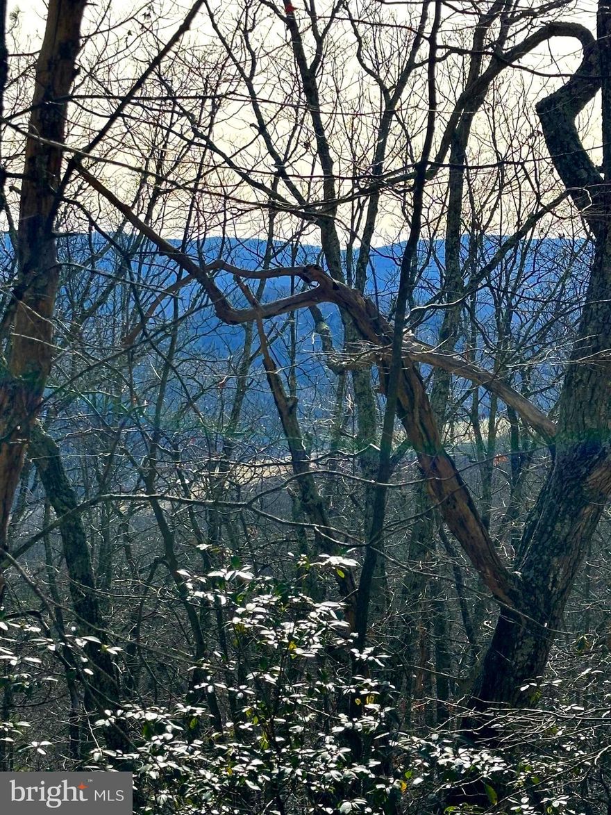 WOW WOW! 5 ACRE mountain top lot with a South/East VIEWS for less than the county tax assessed value.  Located in beautiful Pendleton County, WV where you can build your cabin retreat and enjoy the solitude and hear nothing but the birds chirping and leaves rustling.  A spring is located on the bottom corner of the property for your water feature.  Own a piece of WV and not break your bank!  Adjacent lot is also available for sale.  Purchase both and have 10 acres to roam.