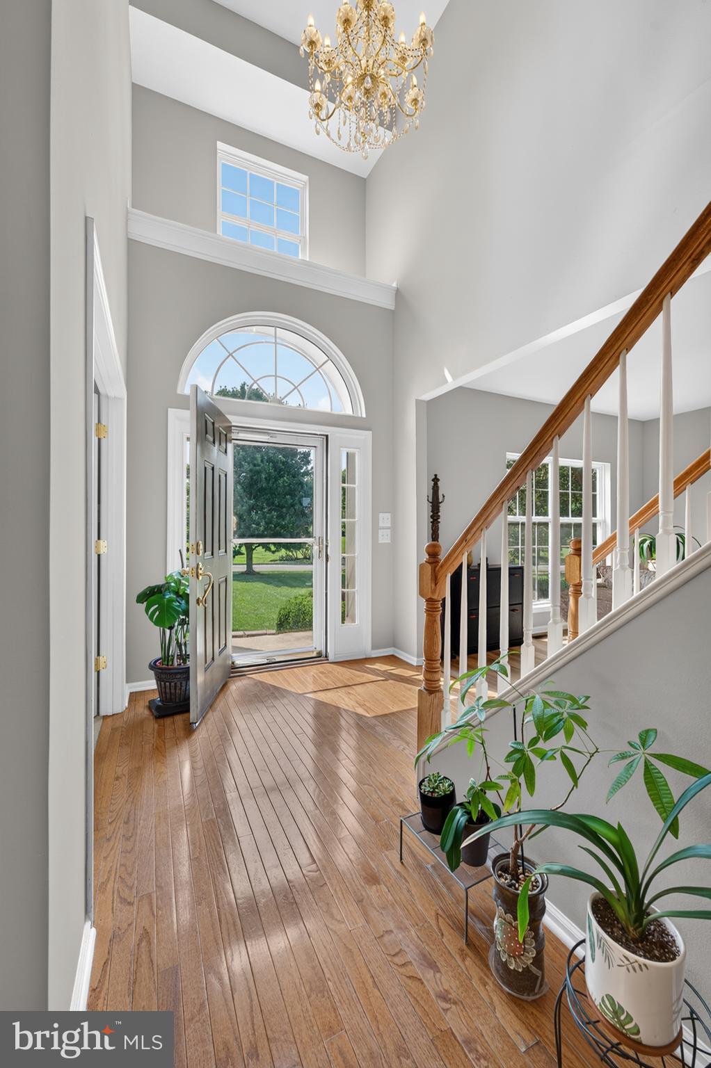 705 ELAINE DRIVE